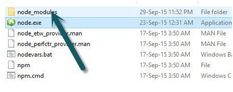  installation Node.js Package